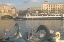 One hour cruise on Classic River